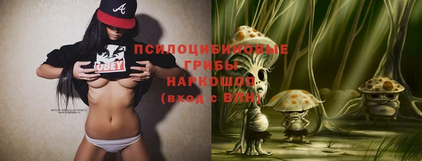 гидропоника Белокуриха