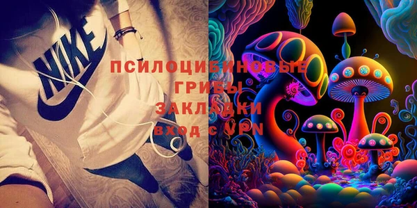 метадон Богданович