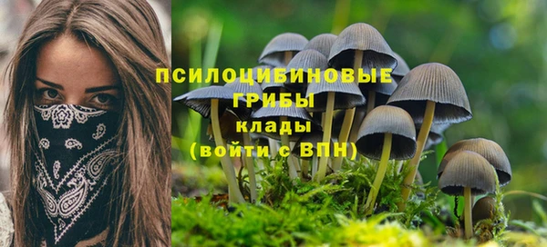 метадон Богданович