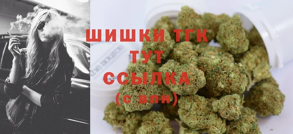 метадон Богданович