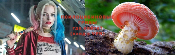гидропоника Белокуриха
